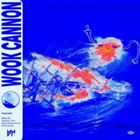 Wook Cannon - Single - bd hbt