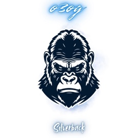 Name Down (feat. Anthemous T Rocknrolla) O3OG