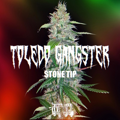 TOLEDO GANGSTER - Single