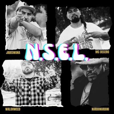 N.S.E.L. (feat. Nardo Nardini, Jabiswana & Waloh Weed) - Single