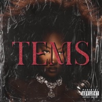 Album cover for Tems by Ragu The Source