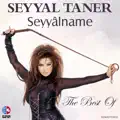 Sarmaş Dolaş