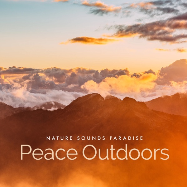 Peace Outdoors