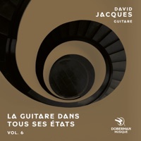 La guitare dans tous ses états, vol. 6 - David Jacques
