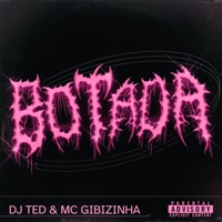 Botada - Single - DJ TED & MC GIBIZINHA