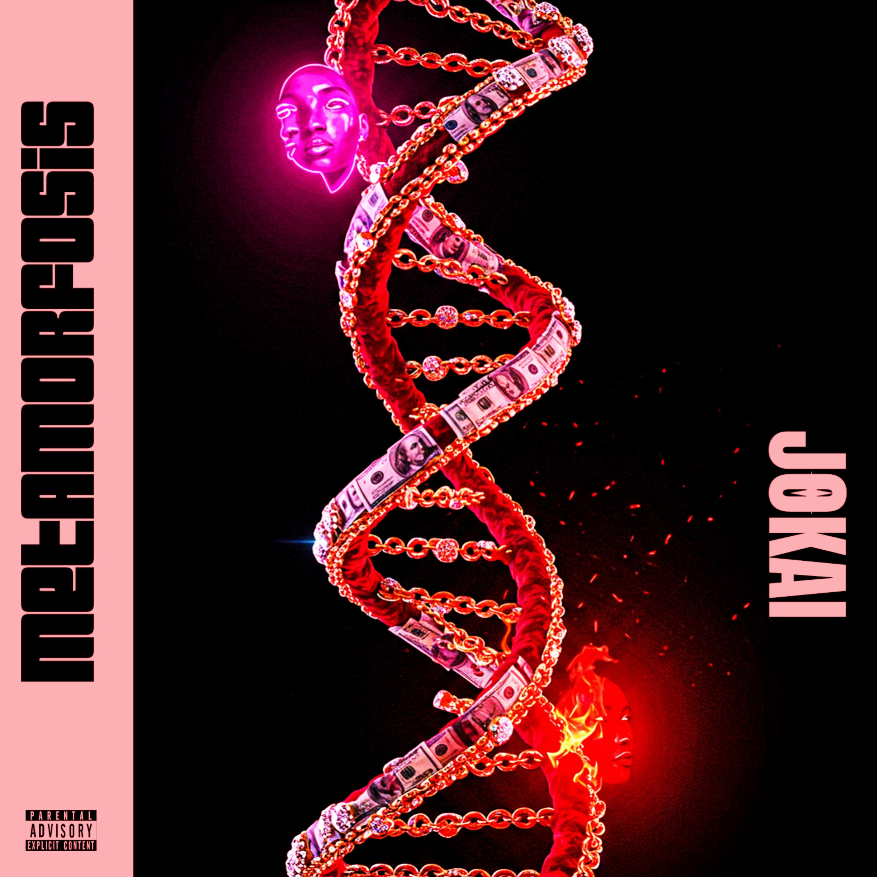 313 (feat. V1sh0p) - JOKAI: Song Lyrics, Music Videos & Concerts