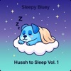 Hush To Sleep Vol 1.