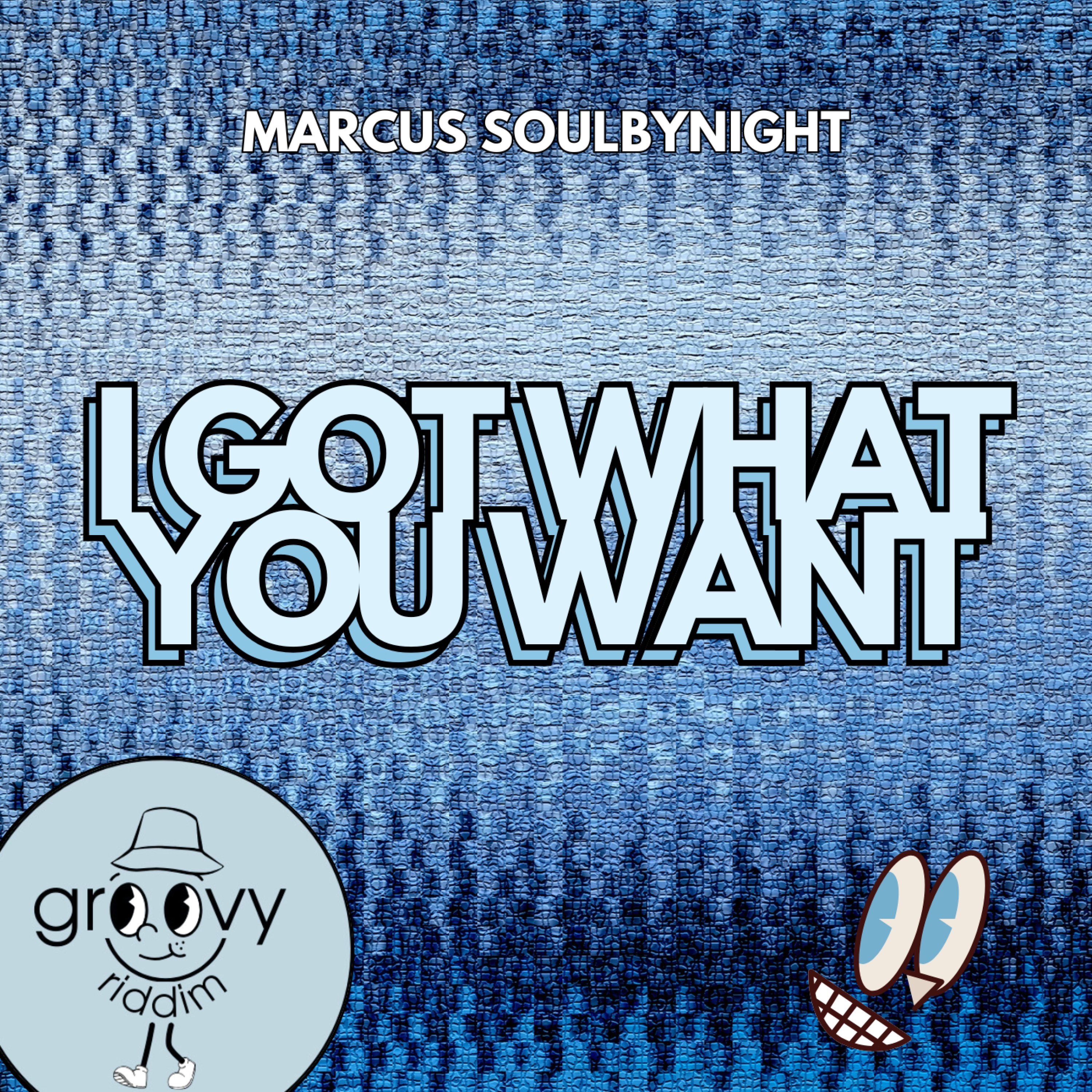 I Got What You Want - Single