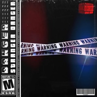 Stranger Danger - Single - 2switchblades