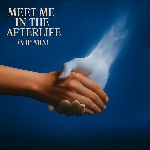 Meet Me In The Afterlife (ViP Mix)