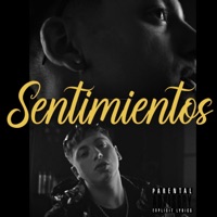 Sentimientos - Single - ViolettKid