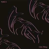 Little Things - Single - Pablic S. & Dj Koo