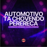 Automotivo Ta Chovendo Perereca - Single - WR ORIGINAL & Kaue MC