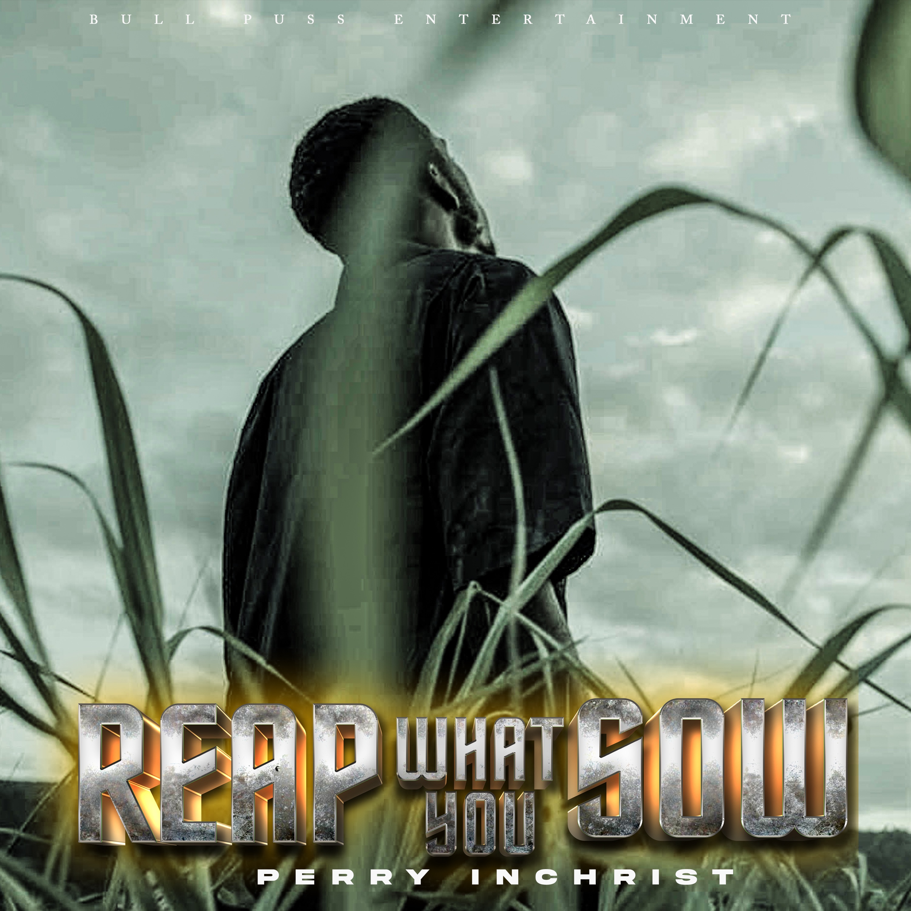 Reap What You Sow - Single