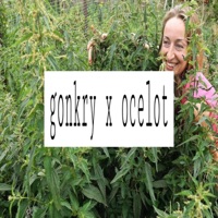 matriarch #youcandoit - Single - gonkry & ocelot