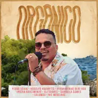 FREQUENCIA — FELIPE VILELA