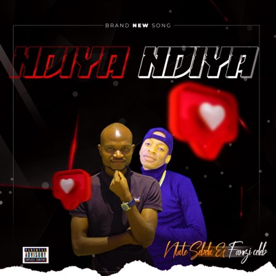 NDIYA NDIYA (feat. Fanzi Celeb) - Single