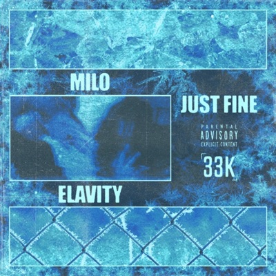 Just Fine (feat. Elavity) - Single