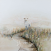 Dy wahr Liebi - EP - Maria Fiechter & Eden Music