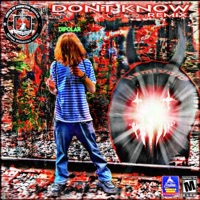Don't Know (feat. Hemivoid) [Remix] - Single - Dipolar