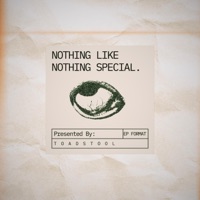 NOTHING LIKE NOTHING SPECIAL - EP - ToadStool