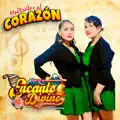 AMOR DE UNA NOCHE