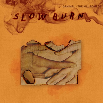 Slow Burn - Single
