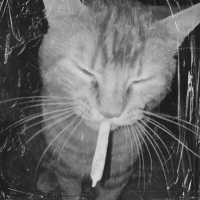 Sativa - Single