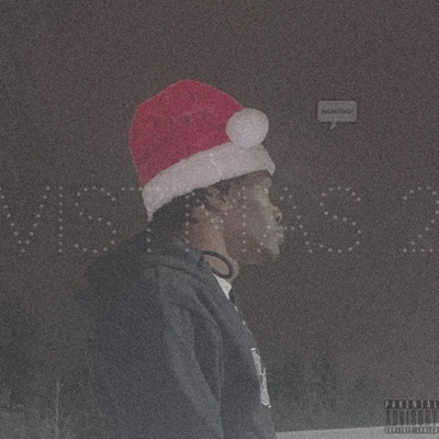 vistmas2