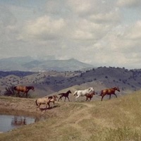 decision making isn't a strong suit - Single - jcbmchl