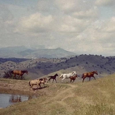 decision making isn't a strong suit - Single