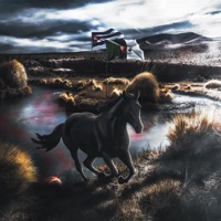 Che Guevara - Single - Fasco Fleex