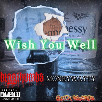 Wish You Well (feat. MoneyWayTy) - Single