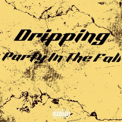 Party In The Fall - EP