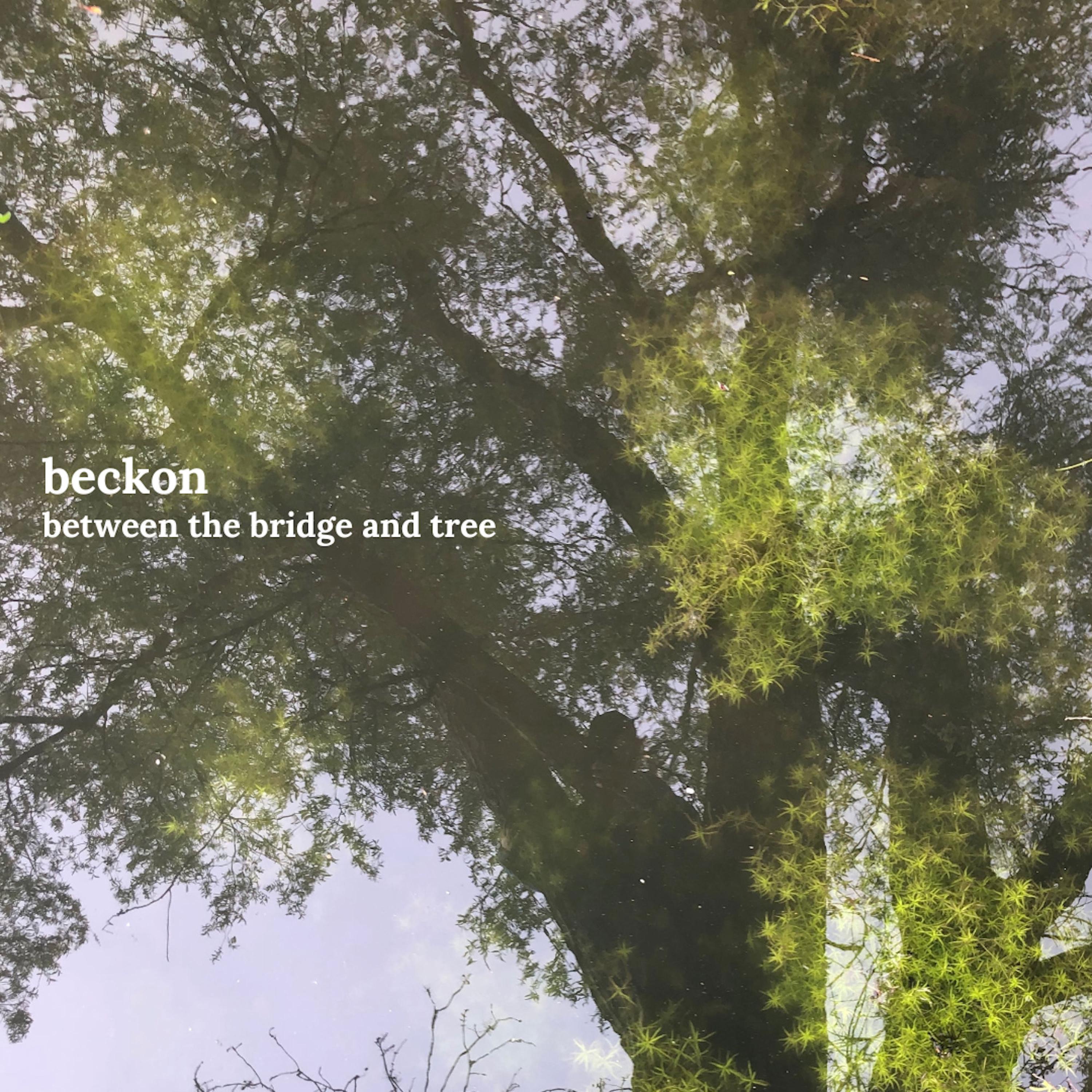Between The Bridge And Tree