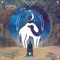 Copal (Extended Mix) - Copal Bros & Cafe De Anatolia lyrics
