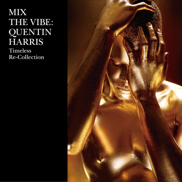 Mix the Vibe: Quentin Harris Timeless Re - Collection (DJ Mix)