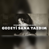 Geceyi Sana Yazdım