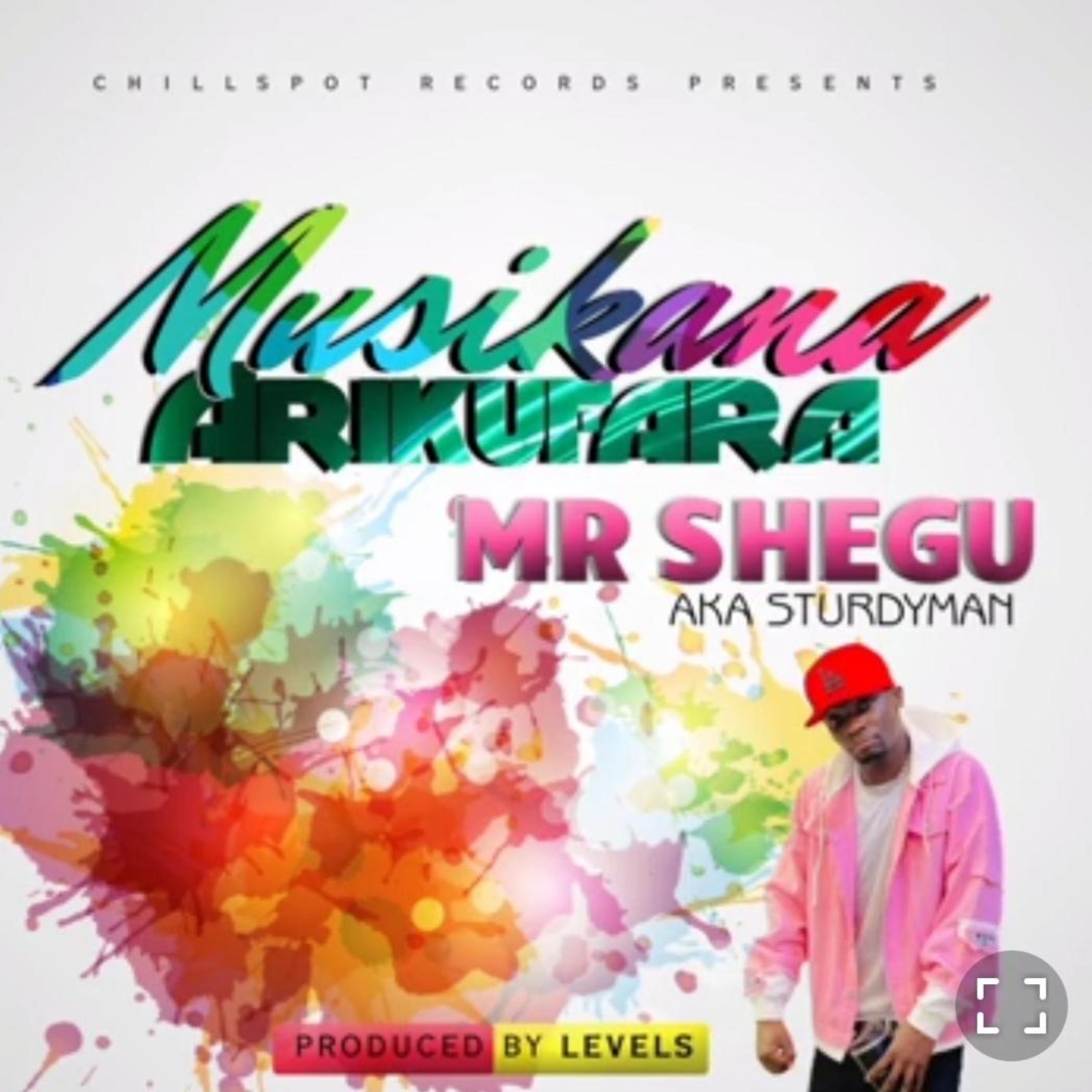Musikana Arikufara - Single