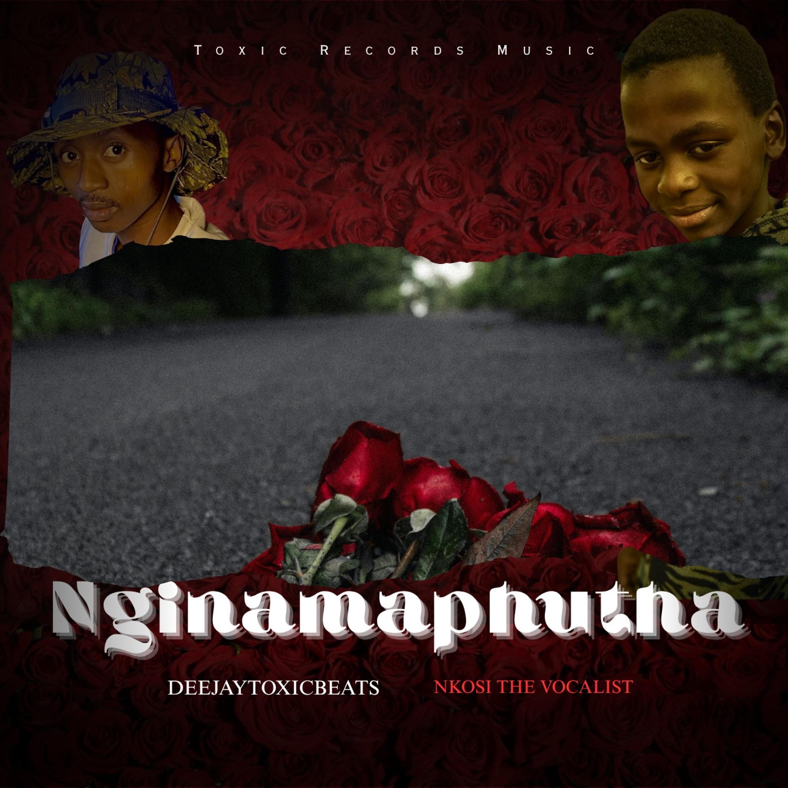 Nginamaphutha (feat. Nkosi The Vocalist) - Single