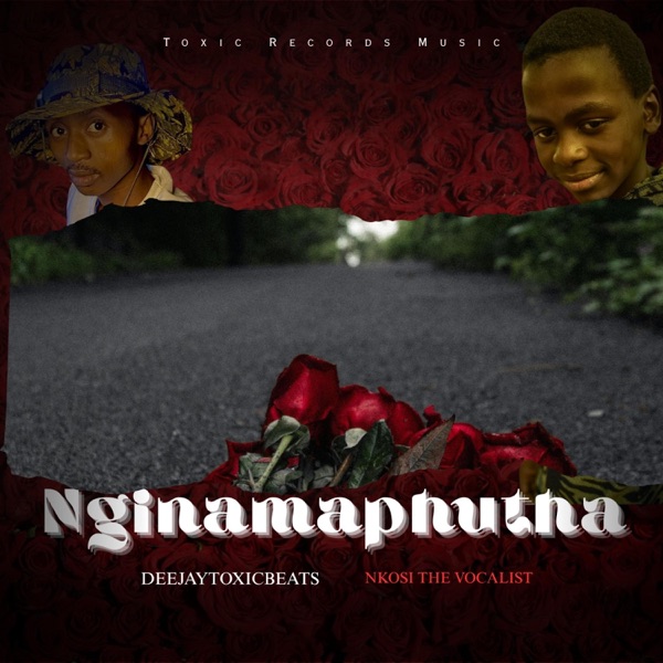 Nginamaphutha (feat. Nkosi The Vocalist)