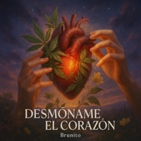 Desmóñame el corazón - Single - Brunito
