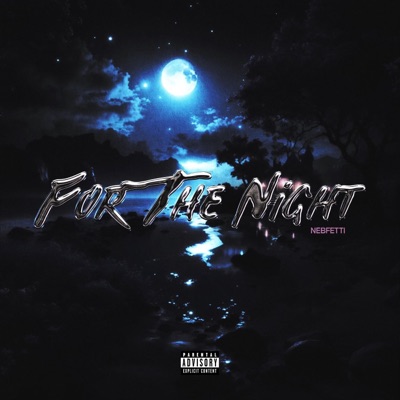 For The Night (feat. BigB) - Single