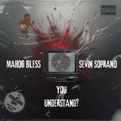 YOU UNDERSTAND? (feat. SEVIN SOPRANO) - Single