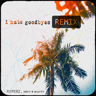 I Hate Goodbyes (Drum & Bass Remix) - Single