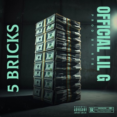 5 bricks - Single