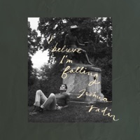 I Believe I'm Falling - Single - Joshua Radin