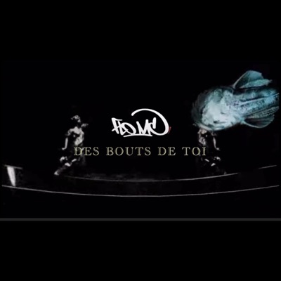 Des bouts de Toi - Single