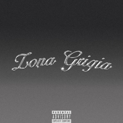 ZONA GRIGIA