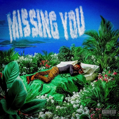 Missing You (feat. Afro Jonny) - Single